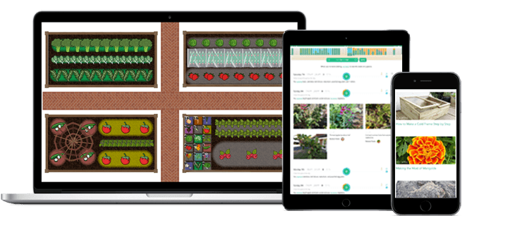 Image with missing alt attribute found on growveg.com