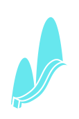 Image with missing alt attribute found on satyamevinfotech.com