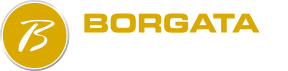 Image with missing alt attribute found on borgataonline.com
