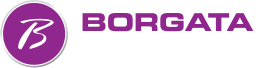 Image with missing alt attribute found on borgataonline.com