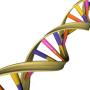 Image with missing alt attribute found on physorg.com