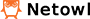 Netowl