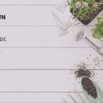 Flower seed propagation The Ultimate Guide for Successful Growth Flower seed propagation