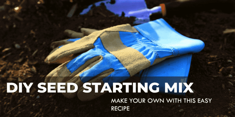Seed starting mix for flower seeds