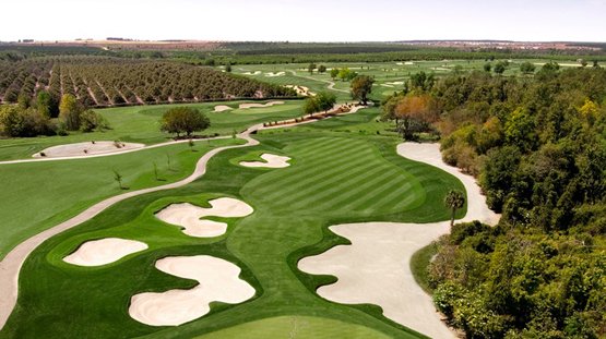 championsgate