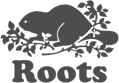 Image with missing alt attribute found on setster.com