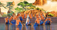 Image with missing alt attribute found on shenyun.com