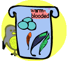 Image with missing alt attribute found on sheppardsoftware.com