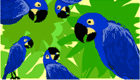 Image with missing alt attribute found on sheppardsoftware.com