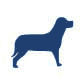 Image with missing alt attribute found on short-funny.com
