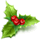 Image with missing alt attribute found on silverrushstyle.com