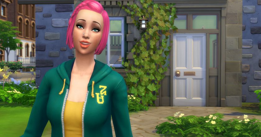 Image with missing alt attribute found on sims-online.com