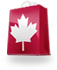 Image with missing alt attribute found on smartcanucks.ca