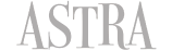 American Specialty Toy Retailing Association partners with SnapRetail to help their small businesses grow online