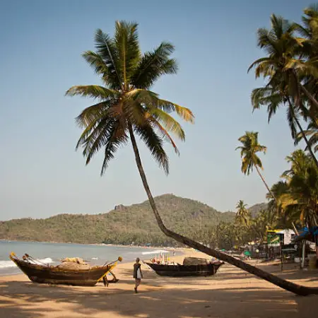 Image with missing alt attribute found on sostraveltoindia.com