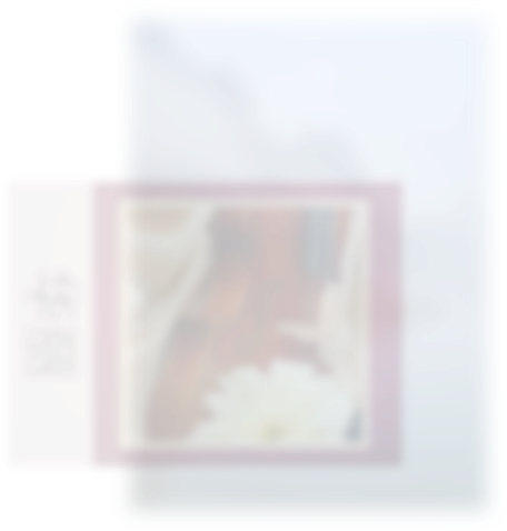 Image with missing alt attribute found on meipian.cn