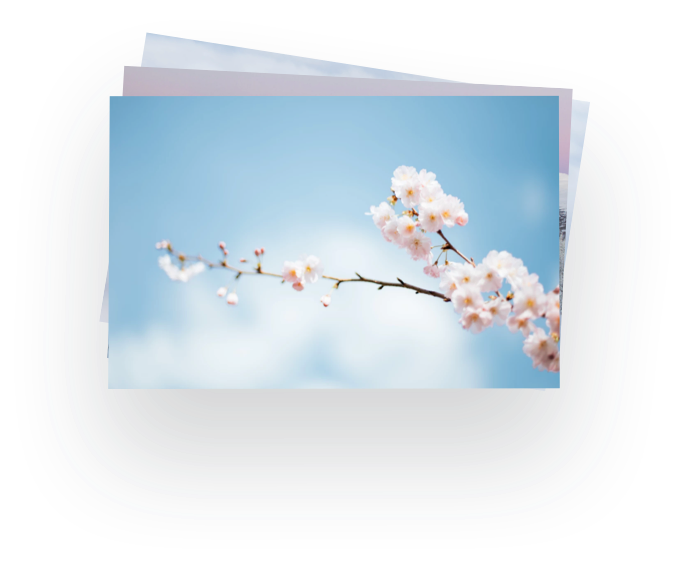Image with missing alt attribute found on meipian.cn