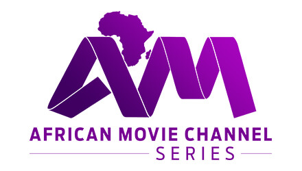 Image with missing alt attribute found on startimestv.com