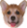 Image with missing alt attribute found on twitchemotes.com