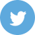 Twitter Profile Page