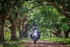 start riding off road www.advrider.com