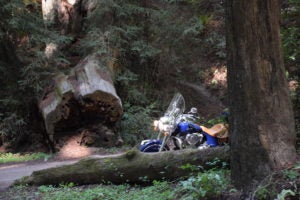 Getting lost on California&rsquo;s Historic Coast