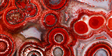 Image with missing alt attribute found on artfido.com