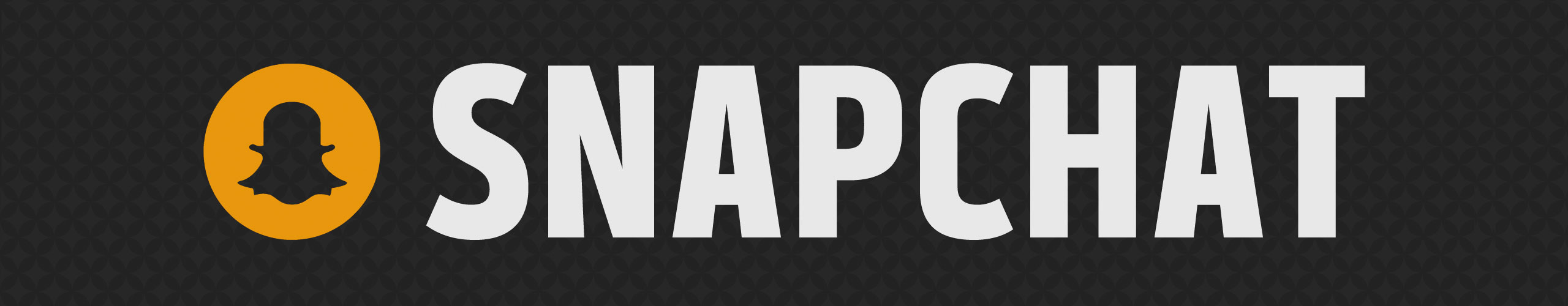 Image with missing alt attribute found on steelers.com