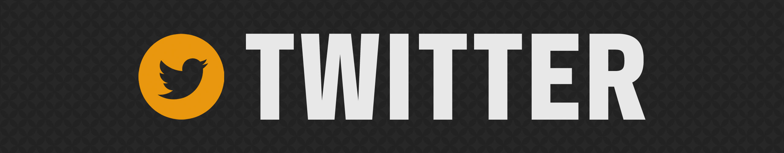Image with missing alt attribute found on steelers.com