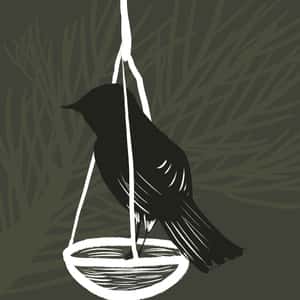 To Kill a Mockingbird