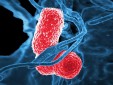 Image with missing alt attribute found on medportal.ru