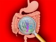 Image with missing alt attribute found on medportal.ru