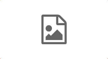 Image with missing alt attribute found on paisabazaar.com