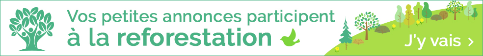 Image with missing alt attribute found on paruvendu.fr