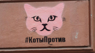 Петербургские художники борются с рекламой наркотиков при помощи котиков