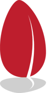 Image with missing alt attribute found on seedr.cc