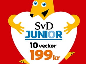 L&auml;sgl&auml;dje ger kunskap