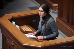 Инициаторы дела Федины на самом деле имеют целью компрометацию Зеленского