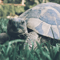 Image with missing alt attribute found on seekingalpha.com