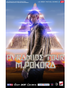 M. POKORA