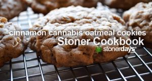 Image with missing alt attribute found on stonerdays.com