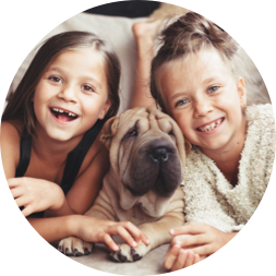 Image with missing alt attribute found on gopetplan.com