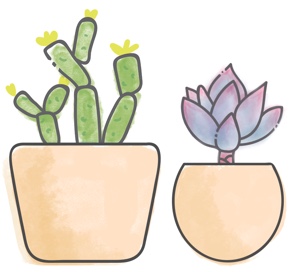 Image with missing alt attribute found on succulent.studio