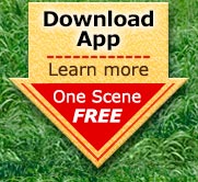 Download App