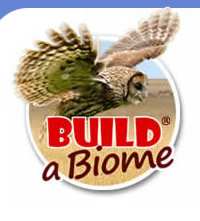 Build a Biome