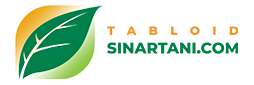 Image with missing alt attribute found on tabloidsinartani.com