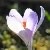 Image with missing alt attribute found on tapeciarnia.pl