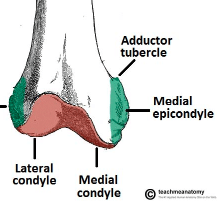 Image with missing alt attribute found on teachmesurgery.com