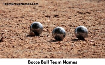 Bocce Ball Team Names