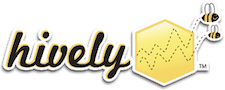 Image with missing alt attribute found on teamhively.com